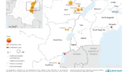 Travel Risk management Reisemedizinische Beratung Betriebsarzt Ebola