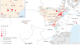 Reisemedizin reisemedizinische Beratung Augsburg Ingolstadt münchen aichach schrobenhausen landsberg travel risk management