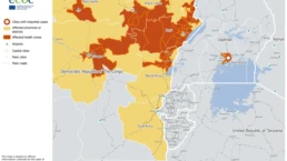 Ebola travel risk management reisemedizin